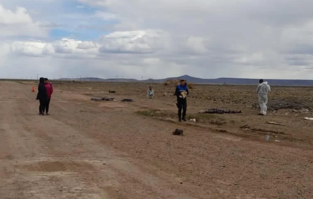 WhatsApp Image 2023-11-17 at 1.02.13 PM