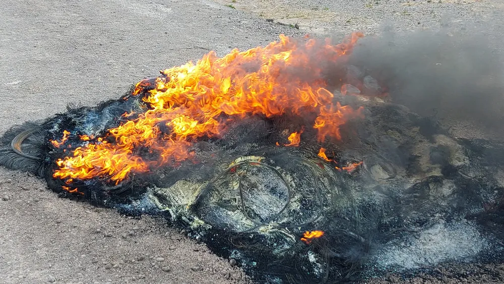 367486450_783913450403377_8561087191071598898_n