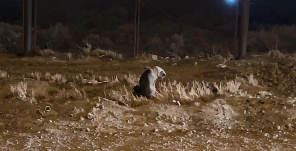 WhatsApp Image 2023-08-31 at 9.38.49 PM