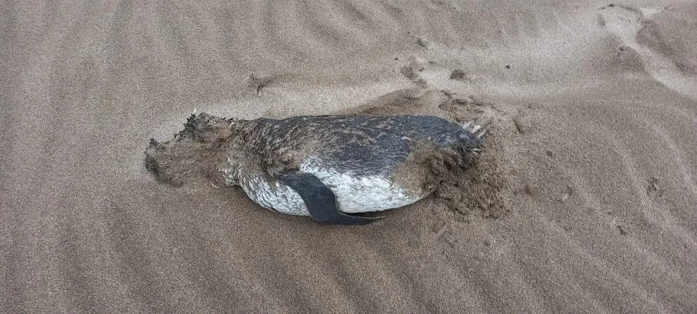 369717719_790990713028984_2082439952342179530_n