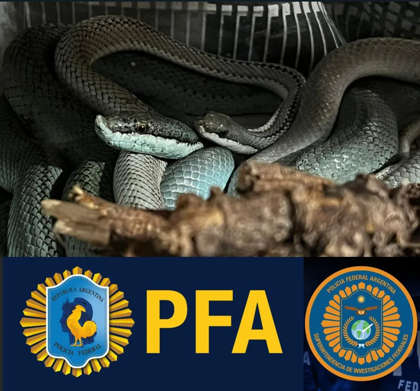 WhatsApp Image 2023-09-08 at 10.51.34 PM (1)