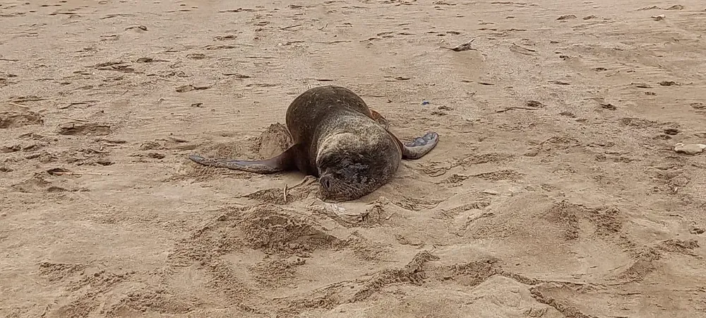 369792458_790990806362308_2272989046466877620_n