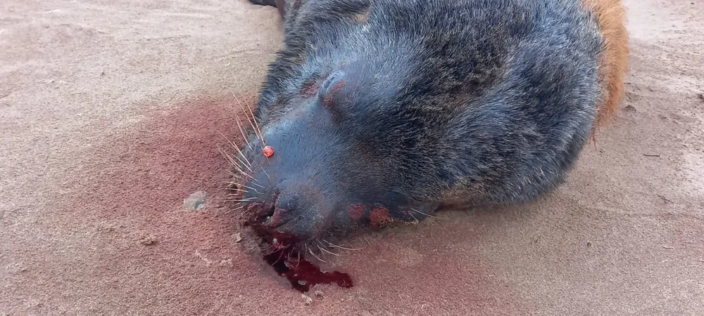 369632016_790990639695658_1836639523252847550_n