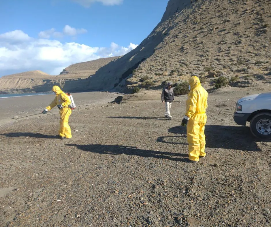 WhatsApp Image 2023-09-02 at 8.32.34 PM