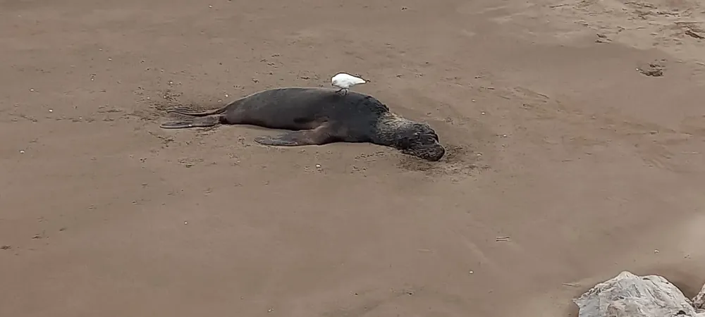 369713028_790990433029012_7300779589719631395_n