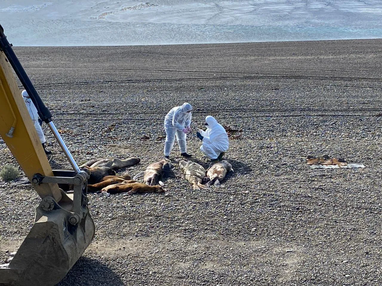 WhatsApp Image 2023-09-15 at 4.29.01 PM