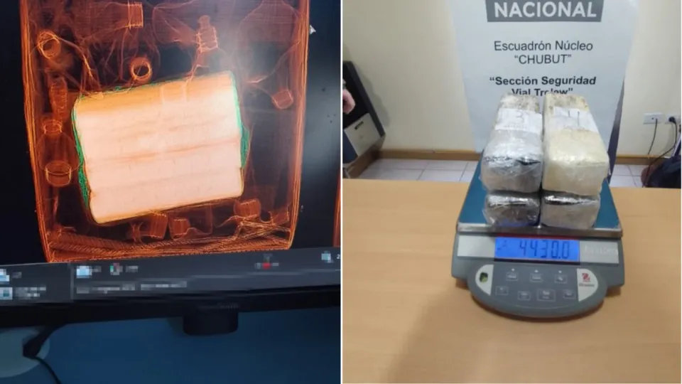 354115_crop_103522_lg