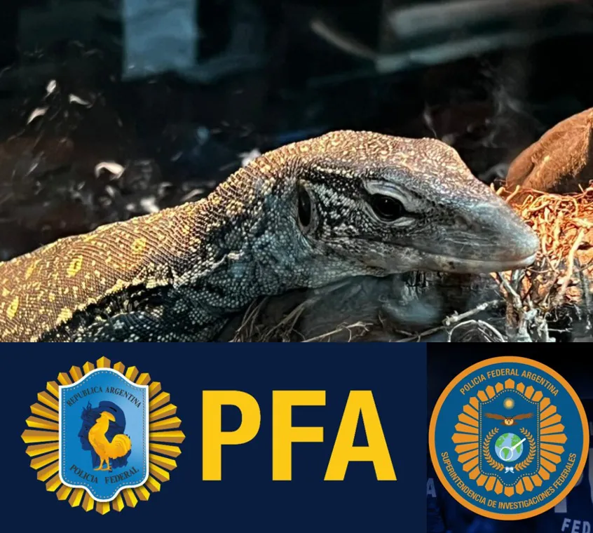 WhatsApp Image 2023-09-08 at 10.51.34 PM