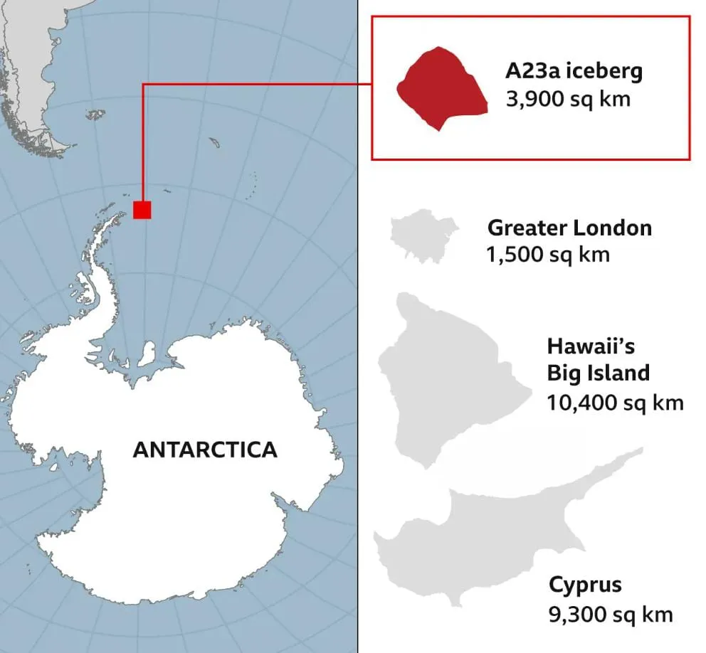 WhatsApp Image 2023-11-28 at 3.19.07 PM