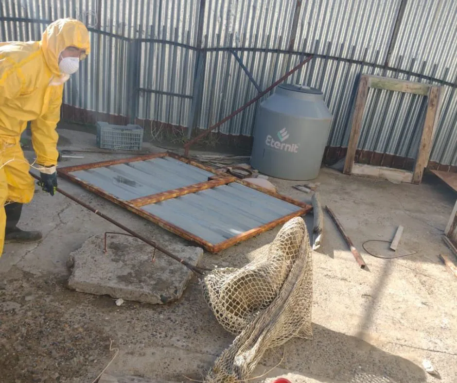 WhatsApp Image 2023-09-02 at 8.32.33 PM