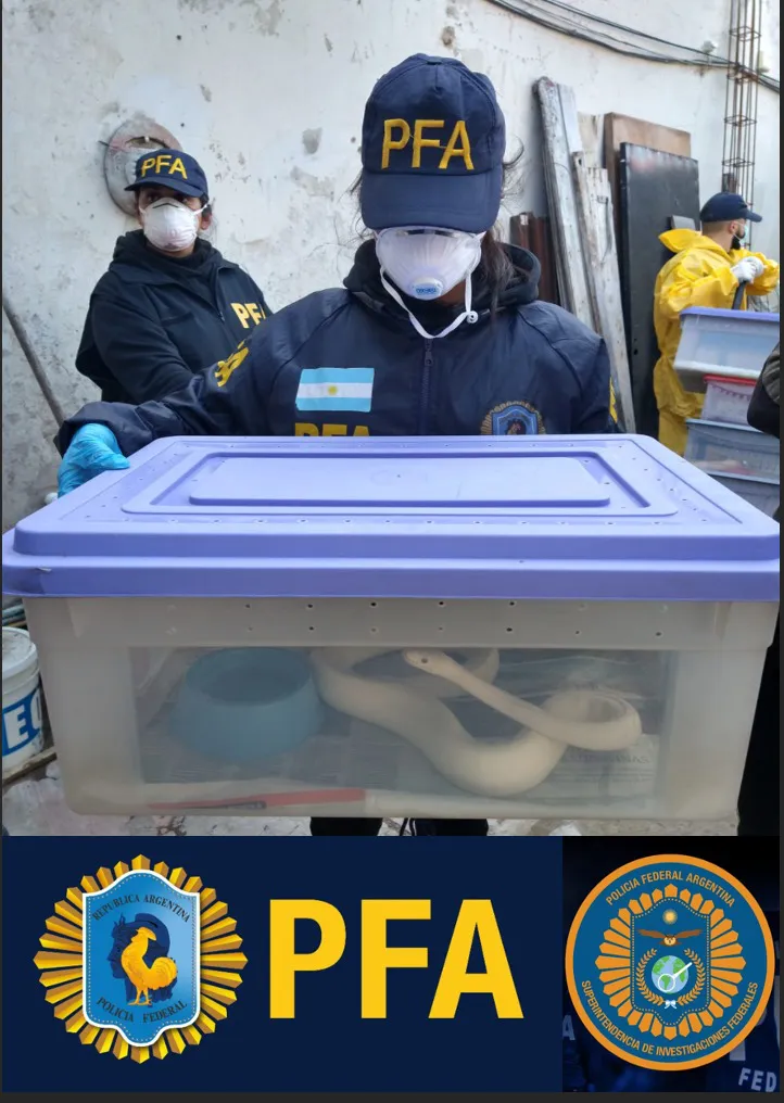 WhatsApp Image 2023-09-08 at 10.51.35 PM