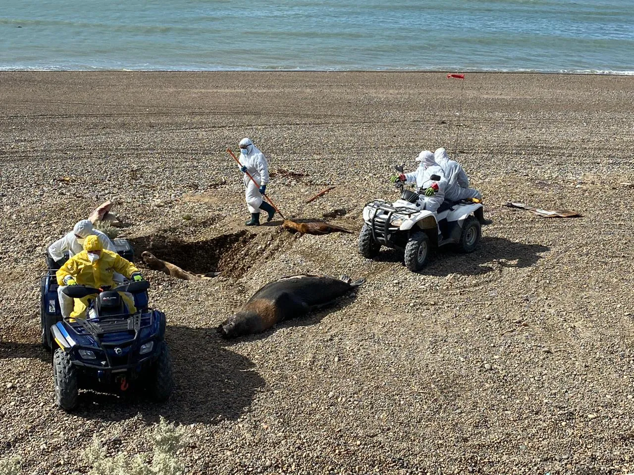 WhatsApp Image 2023-09-15 at 4.29.02 PM (1)