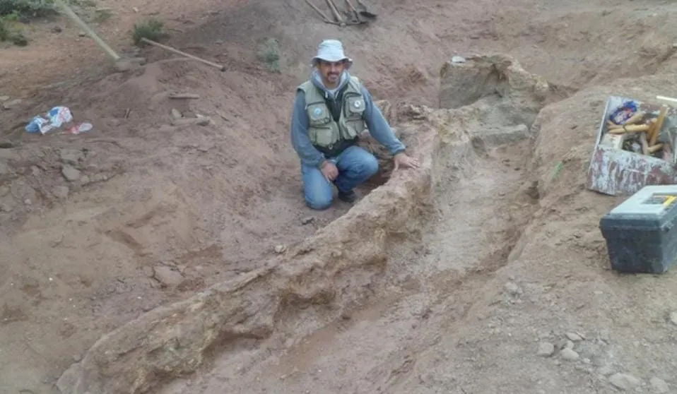 WhatsApp Image 2023-11-08 at 9.28.01 PM