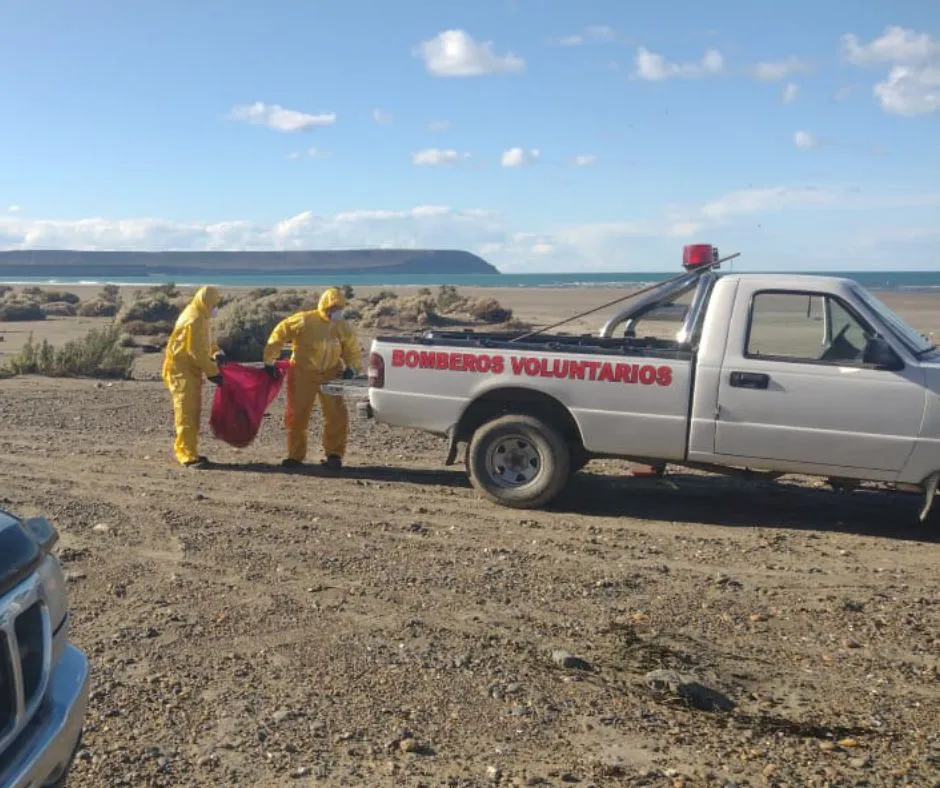 WhatsApp Image 2023-09-02 at 8.32.35 PM