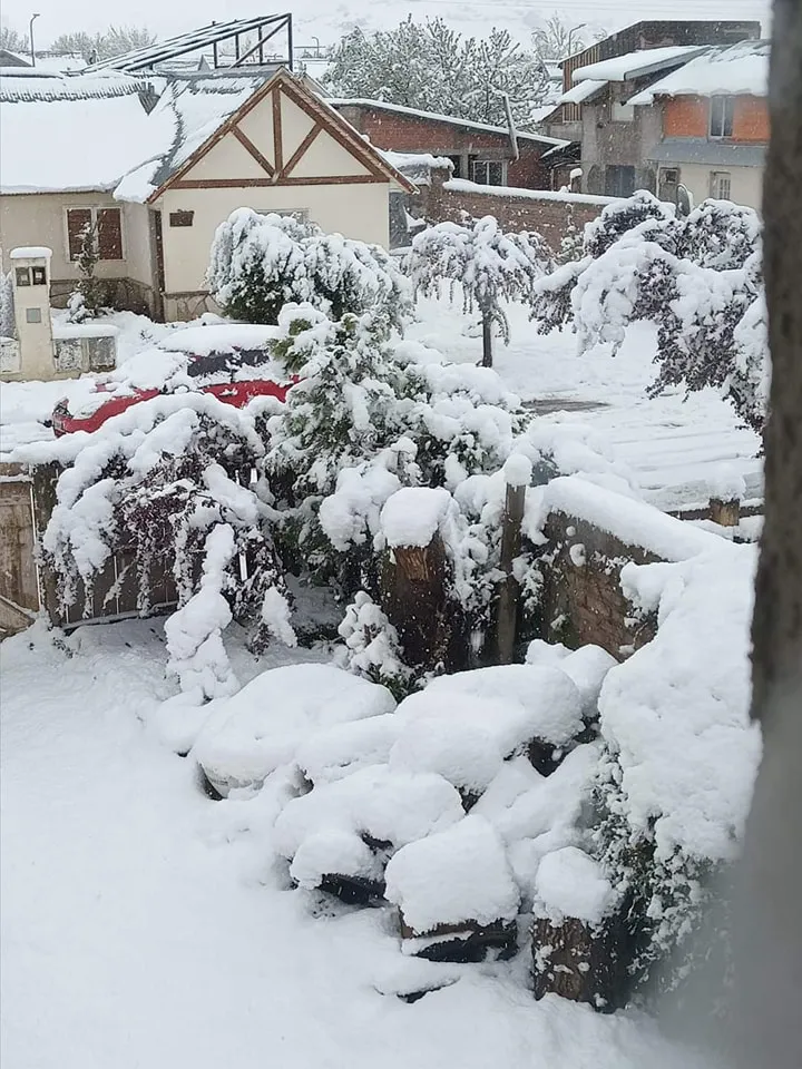 396994467_823674819763745_5398826709443854559_n