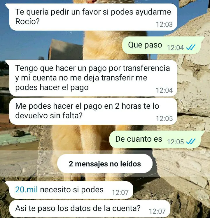 WhatsApp Image 2023-08-28 at 3.21.27 PM