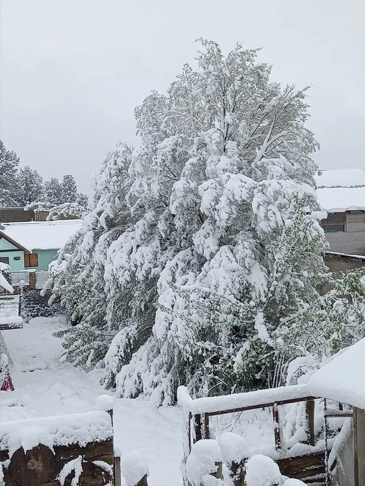 396999303_823674789763748_4023711341674100330_n