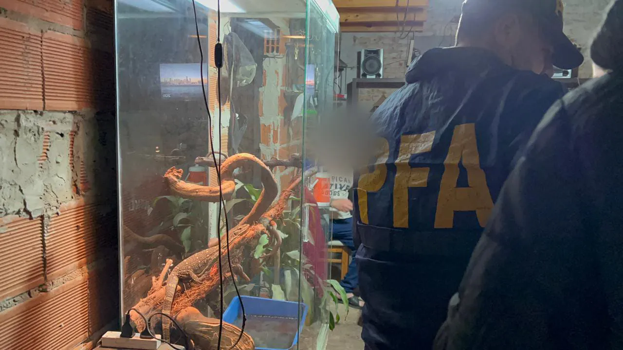 WhatsApp Image 2023-09-08 at 10.51.36 PM (1)