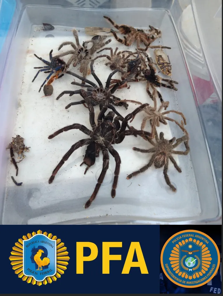 WhatsApp Image 2023-09-08 at 10.51.35 PM (1)