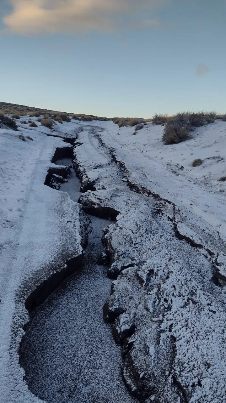 369438852_315767410815113_2783110011758806405_n