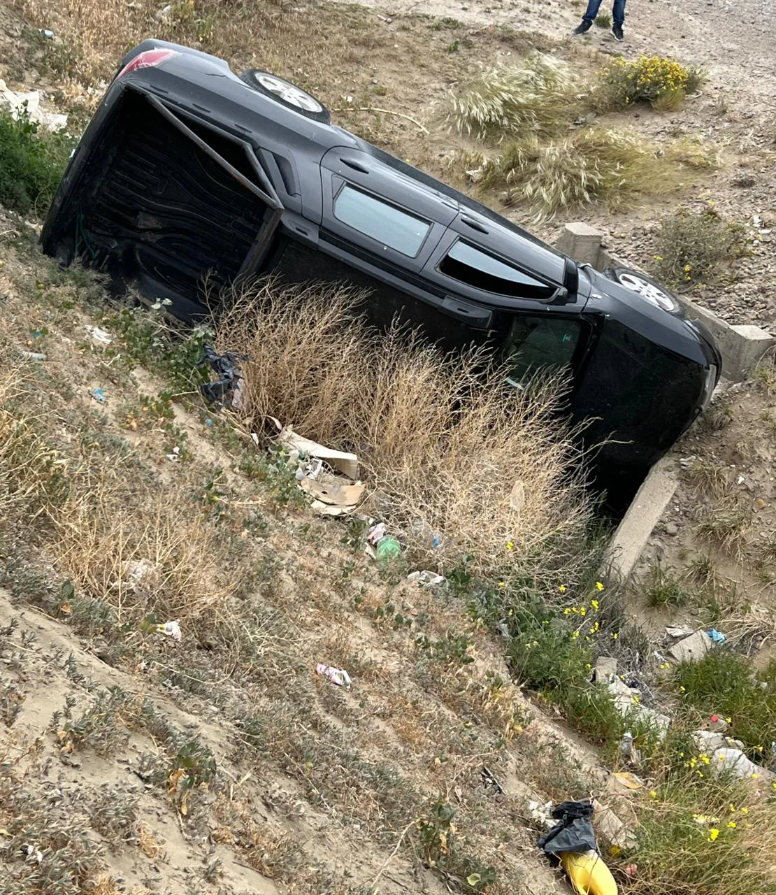 WhatsApp Image 2023-11-30 at 1.41.04 PM