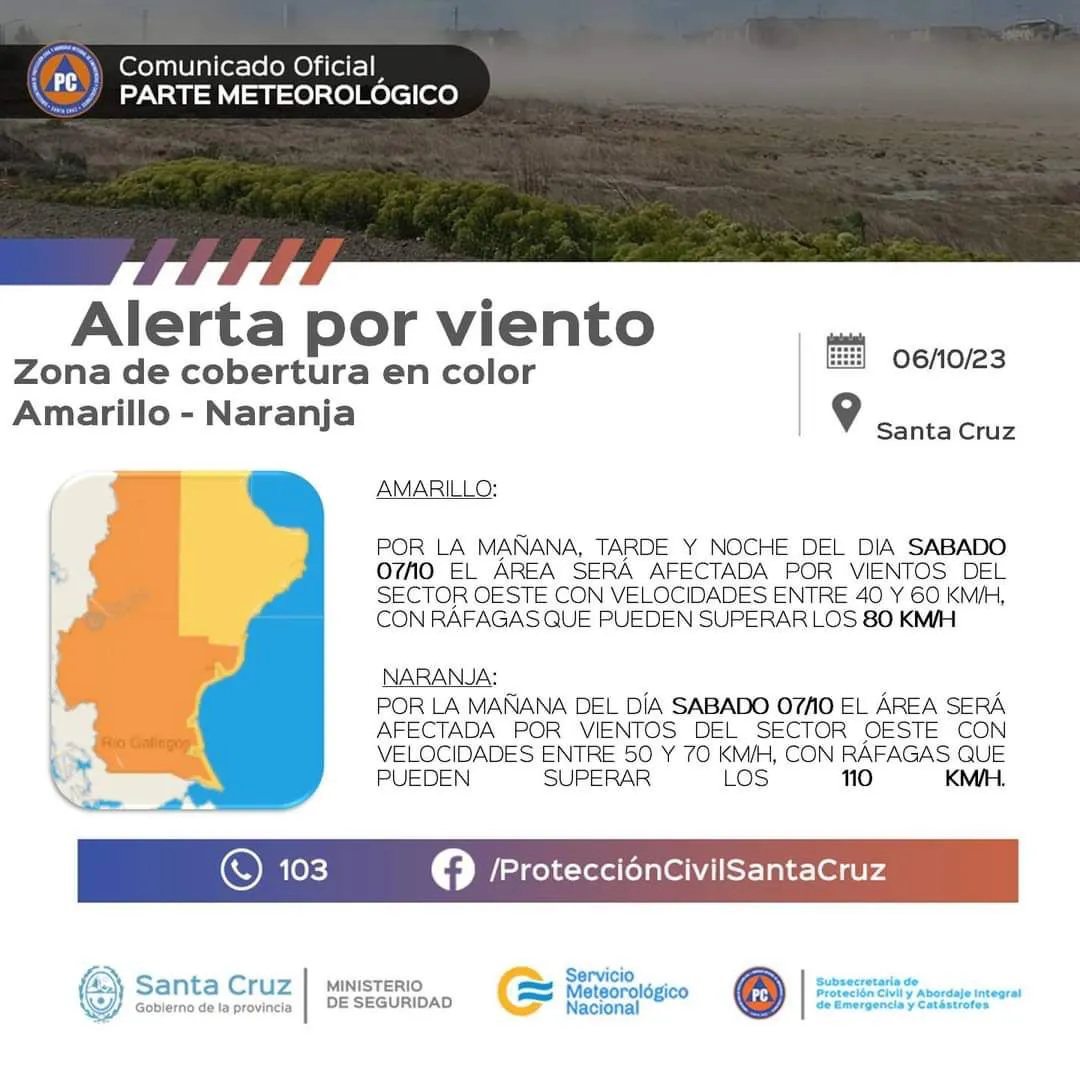 WhatsApp Image 2023-10-07 at 2.31.24 PM