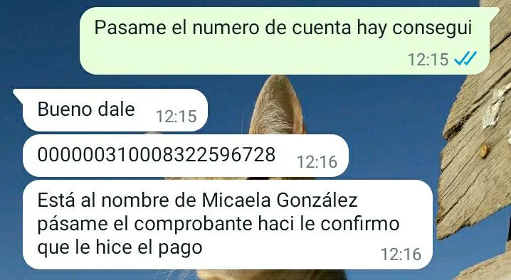 WhatsApp Image 2023-08-28 at 3.21.28 PM