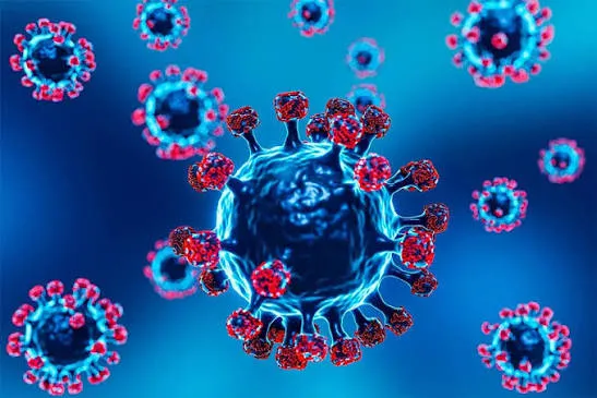 images - 2025-12-19T204949.898