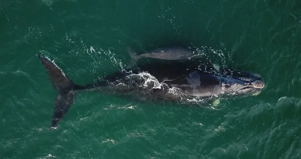 Imagen de WhatsApp 2024-09-09 a las 15.01.45_51831e00