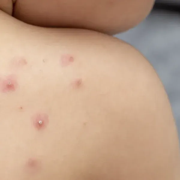 capturadepantalla_2024-12-24_a_la(s)_16.14.154529_sq