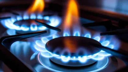 UVJCFTGXKZC3LAUVGOLT7NSTU4