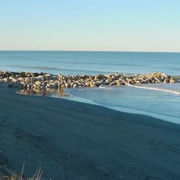 filo2-_2026-01-12t201205.5761578