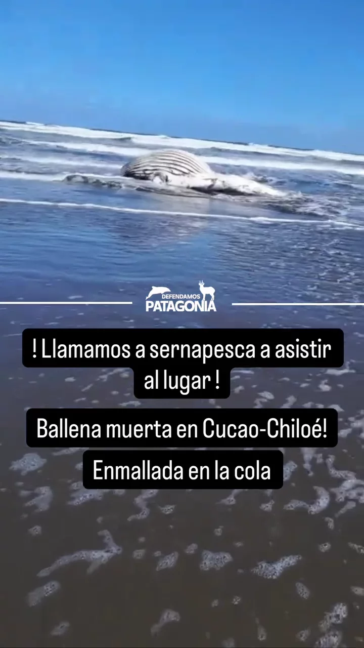 AQNnkn1UCO_QQeGFhtC1zE9hSWwBDGw-jwjUSrHXpr7DCoxNW60vi6wZqftdFFnjW17or555bteDVCbmsof_n5YIy-dCpddqh5eOq1esTA