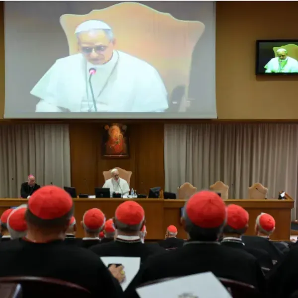 cardenales