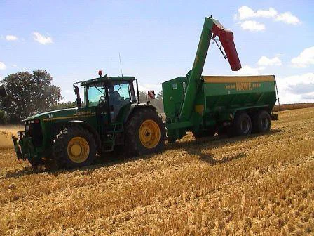 campo