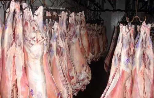 cordero-fresco-500x320