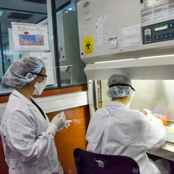 filo2-_2025-11-19t162714.7179121