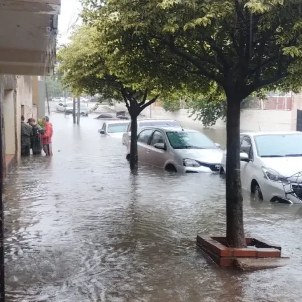 educacinpública_(9)3123_sq