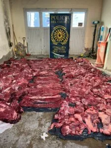 carne-guanacoo-225x300