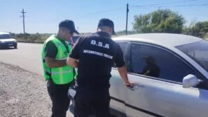 trelew-autos-300x169