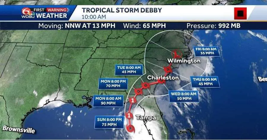 FB_IMG_1722815890279