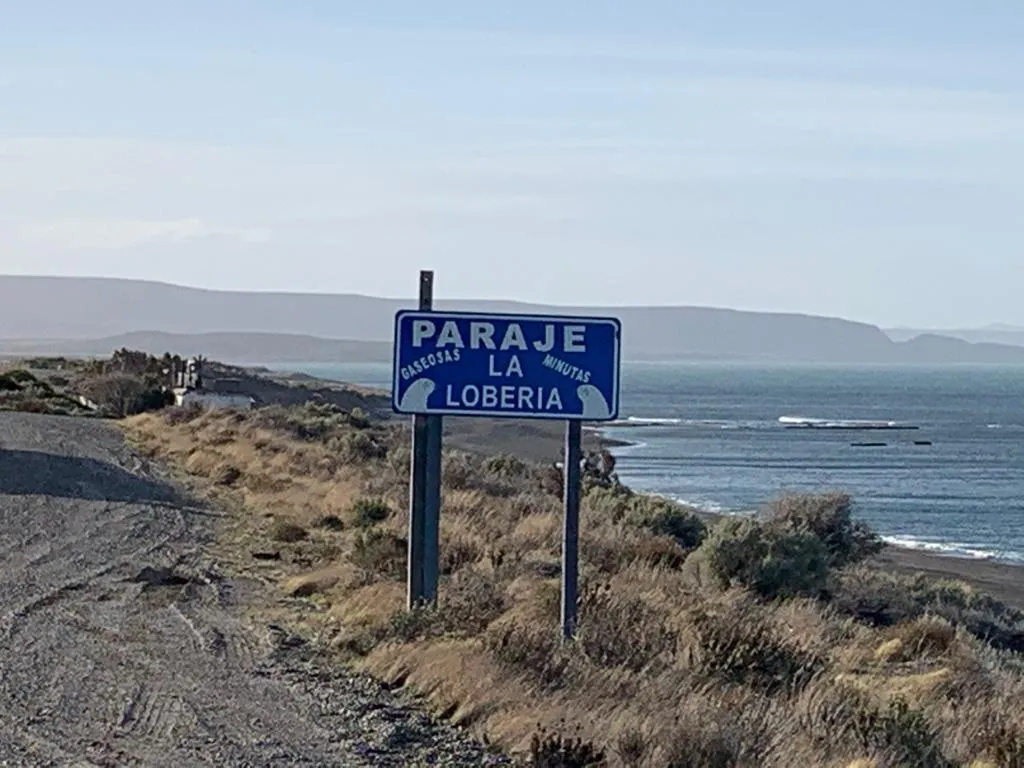 WhatsApp-Image-2020-08-07-at-9.09.53-AM-13