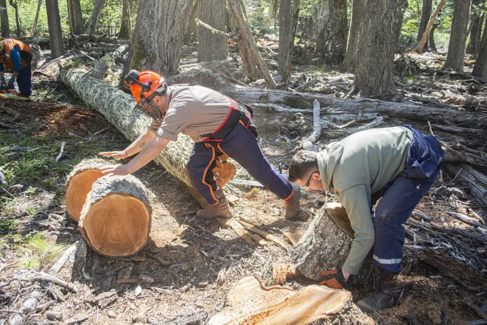 MDSII_LEA_PLAN_INVERNAL_22