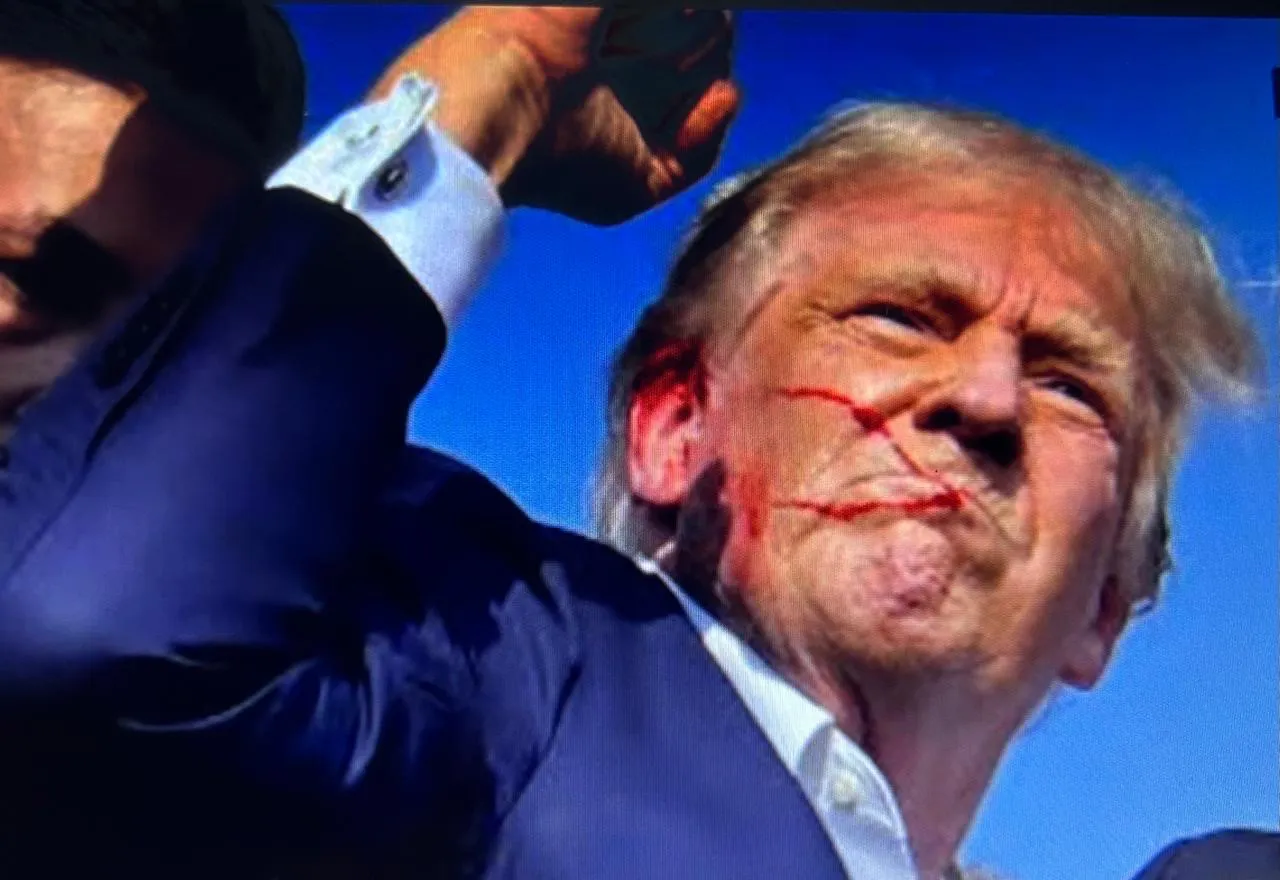 8e661406-f036-4bce-883a-c950f6504d10