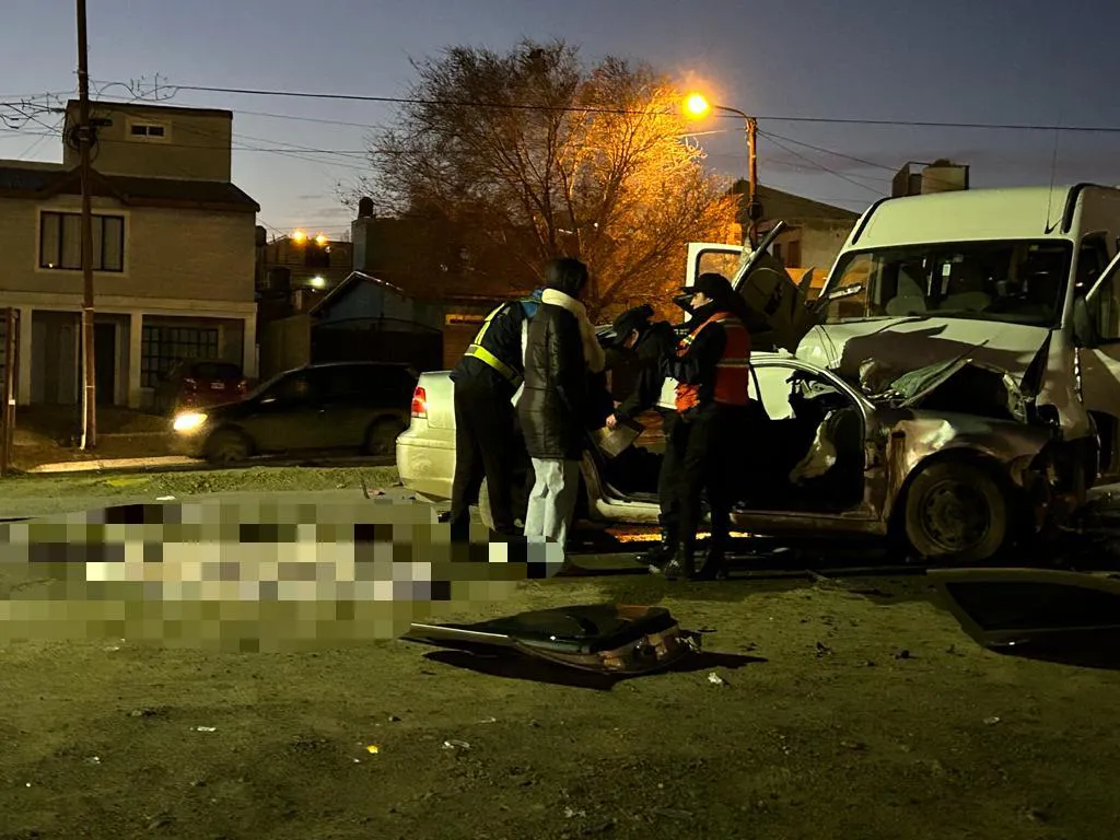 305466e9-ed38-4e8d-b2c6-d2e58e2fc041