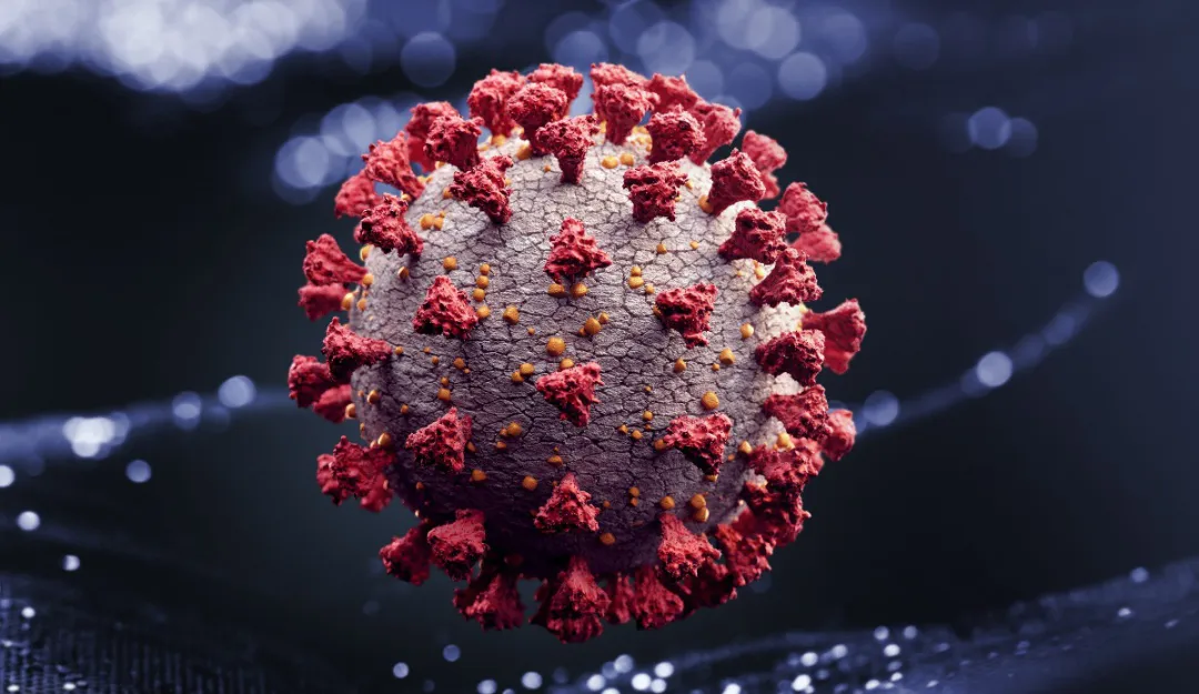 1691534299_941058_1691535029_noticia_normal