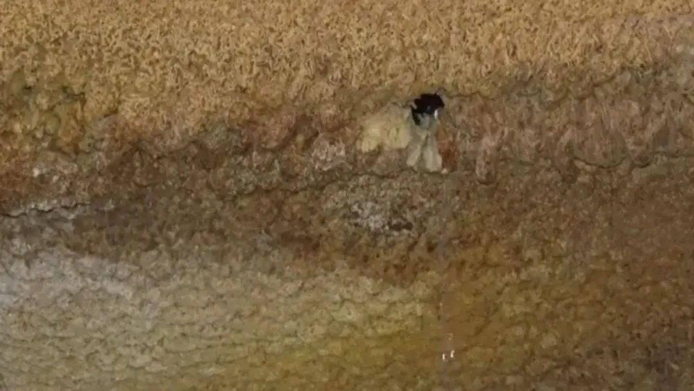 Diseño sin título (13)