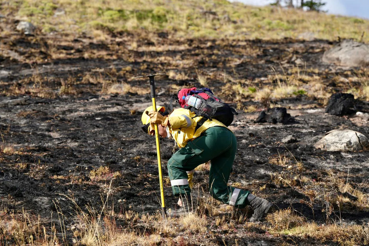 WhatsApp_Image_2026-01-10_at_8.20.10_PM_1