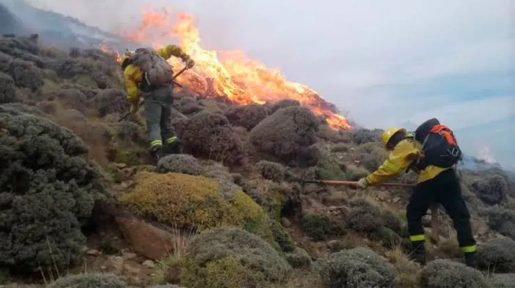 images - 2026-02-02T084615.055