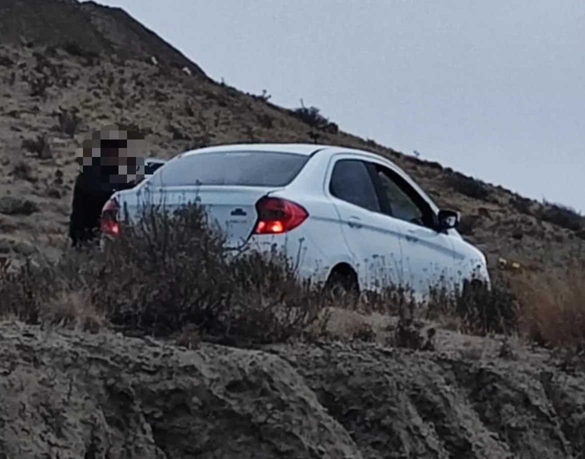 8559e35d-3b52-40fd-add7-4a4d7639d72f